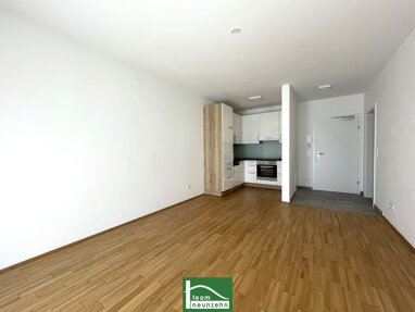 Wohnung zur Miete 640,67 € 1 Zimmer 27,4 m² 2. Geschoss Strauchergasse 5 Lend Graz 8020