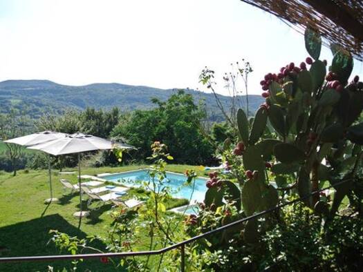 Einfamilienhaus zum Kauf 950.000 € 15 Zimmer 600 m² 30.000 m² Grundstück Narni 05035