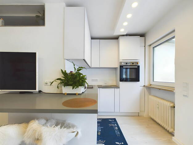 Studio zur Miete 620 € 1 Zimmer 38 m² 1. Geschoss Bruder-Klaus-Straße 7 Petershausen Konstanz 78467