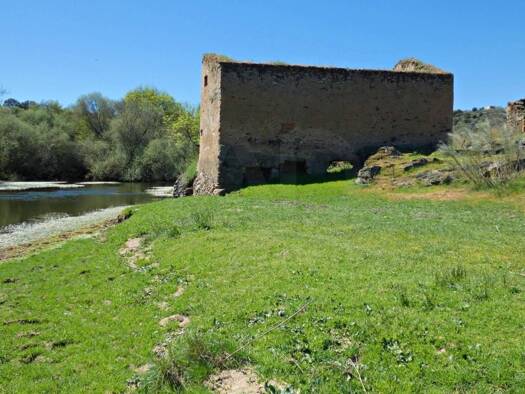 Acker-/Waldstück zum Kauf 44.000 € Gallegos de Argañán 37497