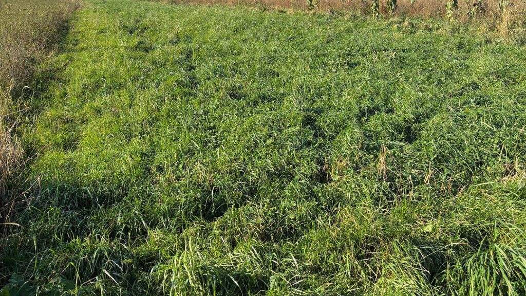 Grundstück zum Kauf 24.900 € 4.980 m² Grundstück frei ab 31.12.2026 Niederlauterbach Wolnzach 85283