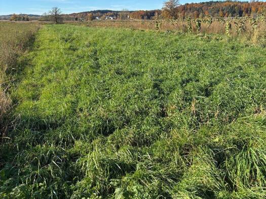 Grundstück zum Kauf 24.900 € 4.980 m² Grundstück frei ab 31.12.2026 Niederlauterbach Wolnzach 85283
