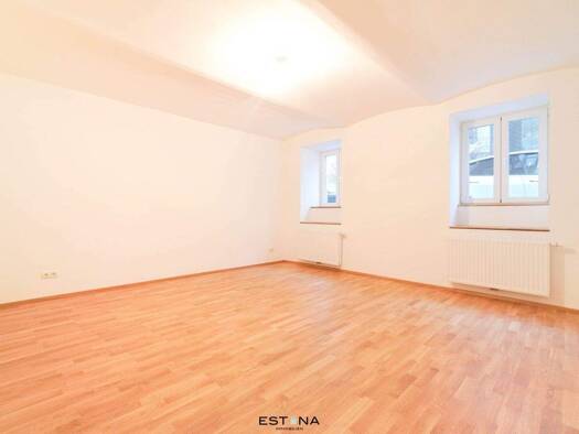 Wohnung zur Miete - Erstbezug 410 € 1 Zimmer 37 m² EG Hamerlingstraße Krems an der Donau 3500