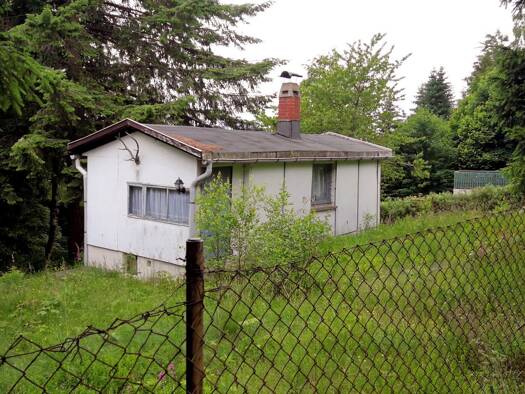 Haus zum Kauf 65.000 € 3 Zimmer 40 m² 995 m² Grundstück Geiersberg Suhl Suhl 98528