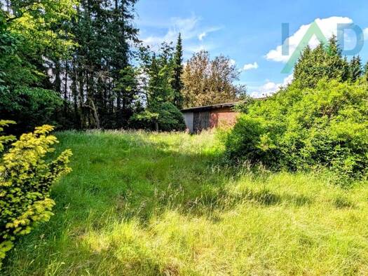 Mehrfamilienhaus zum Kauf 285.000 € 7 Zimmer 132 m² 3.850 m² Grundstück Hipstedt 27432