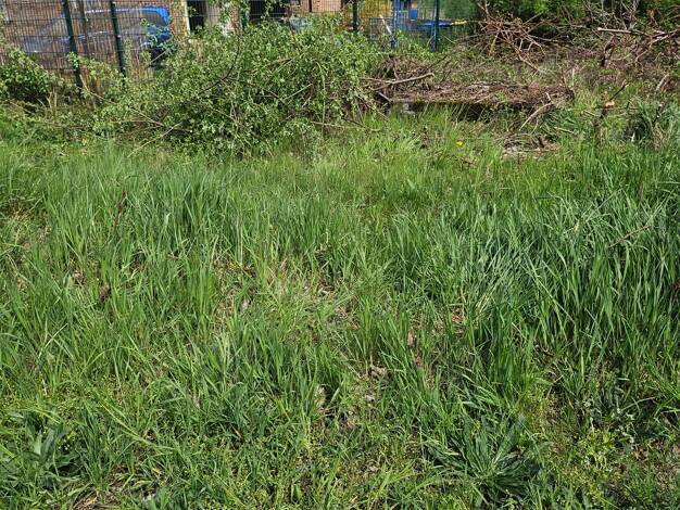 Grundstück zur Miete provisionsfrei 100 € 632 m² Grundstück Vockerode Oranienbaum-Wörlitz 06785