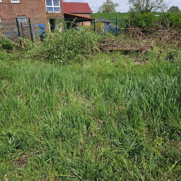 Grundstück zur Miete provisionsfrei 100 € 632 m² Grundstück Vockerode Oranienbaum-Wörlitz 06785