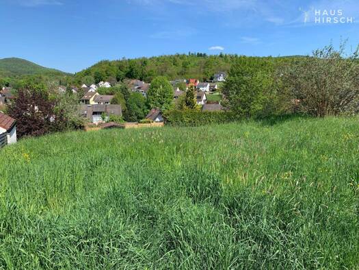 Grundstück zum Kauf 299.000 € 804 m² Grundstück Sailauf 63877