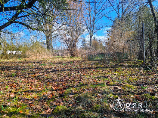 Grundstück zum Kauf 279.000 € 830 m² Grundstück Petershagen 15370