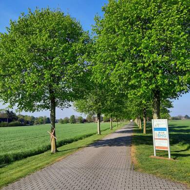 Büro-/Praxisfläche zur Miete 1.550 € Bruckhausen Hünxe-Bruckhausen 46569