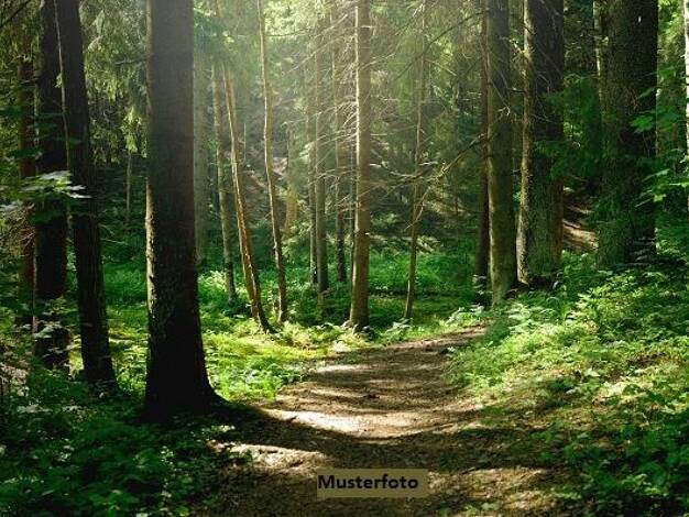 Land-/Forstwirtschaft zum Kauf 5.340 € 8.760 m² Grundstück Buchwäldchen Luckaitztal 03229