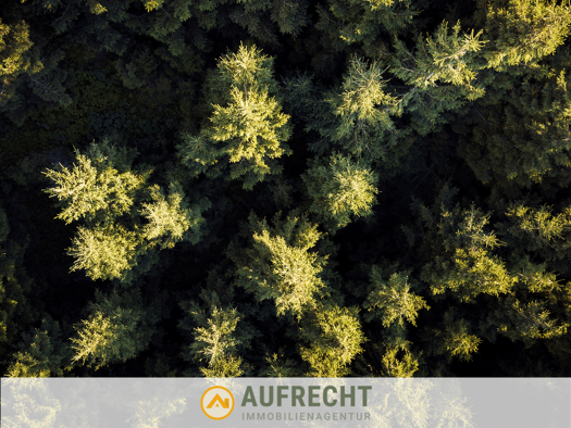 Land-/Forstwirtschaft zum Kauf 7.190 m² Grundstück Lampertshausen Jetzendorf 85305