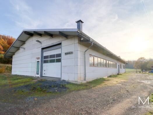 Lagerhalle zur Miete 2.000 € 453 m² Lagerfläche Pfeffelbach 66871