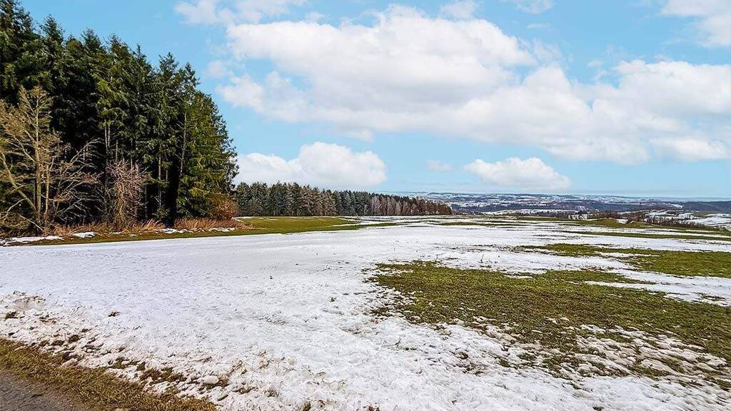 Land-/Forstwirtschaft zur Versteigerung 1.500 € 3.860 m² Grundstück Gelenau/Erzgeb. 09423