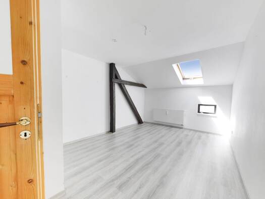 Wohnung zur Miete 430 € 1 Zimmer 20 m² frei ab sofort Johann-Andreas-Segner-Straße 8 Innenstadt Mitte 06108