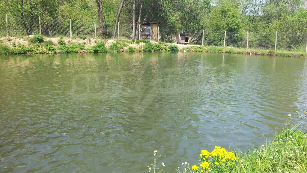 Bauernhof zum Kauf 97.000 € Borovets