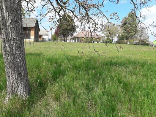 Grundstück zum Kauf 45.000 € 1.269 m² Grundstück Mischendorf 7511
