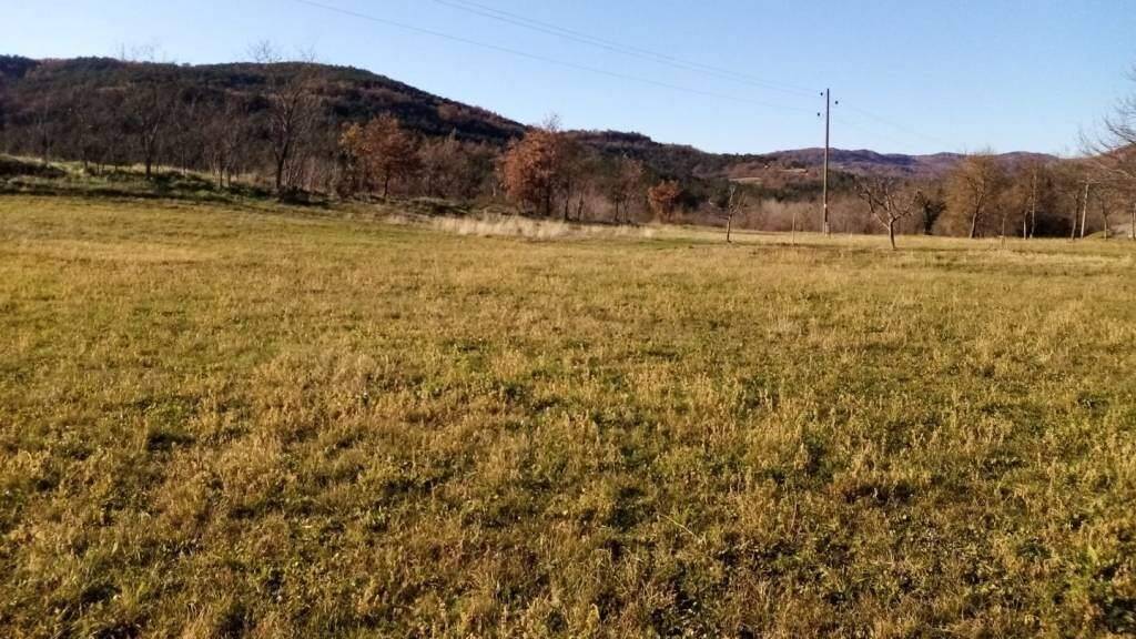 Land-/Forstwirtschaft zum Kauf 25.000 € Krsan