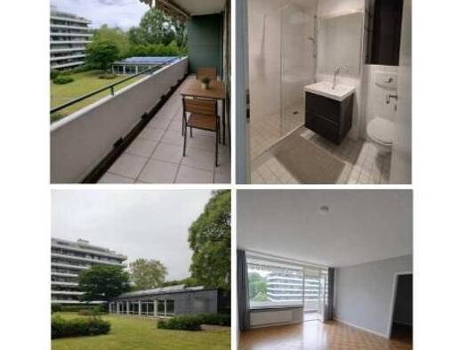 Wohnung zum Kauf 295.000 € 3 Zimmer 73,3 m² frei ab 01.09.2026 Rodenkirchen Rodenkirchen 50996