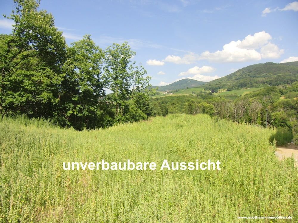 Grundstück zum Kauf 269.500 € 600 m²<br/>Grundstück Ortsgebiet Sasbach 77880