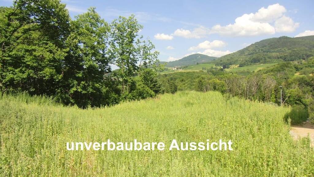 Grundstück zum Kauf 269.500 € 600 m² Grundstück Obersasbach Sasbach 77880