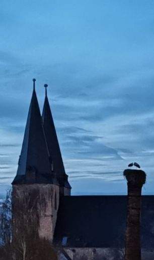 Immobilie in Calbe (Saale) - Eigentumswohnung mit Saaleblick - Denkmal-Afa - Bild 3