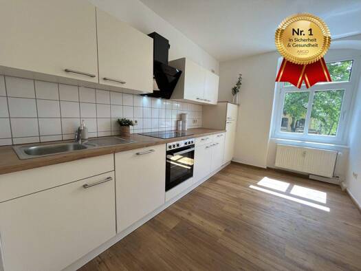 Wohnung zur Miete 771 € 2 Zimmer 59,8 m² 1. Geschoss Wurzener Straße 14 Pieschen-Süd Dresden 01127