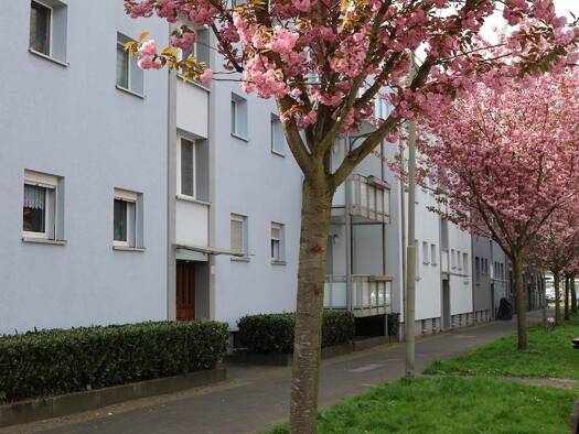 Wohnung zur Miete 304 € 2,5 Zimmer 45 m² 2. Geschoss frei ab 01.11.2026 Laurentiusstraße 29 Wanne Herne 44649