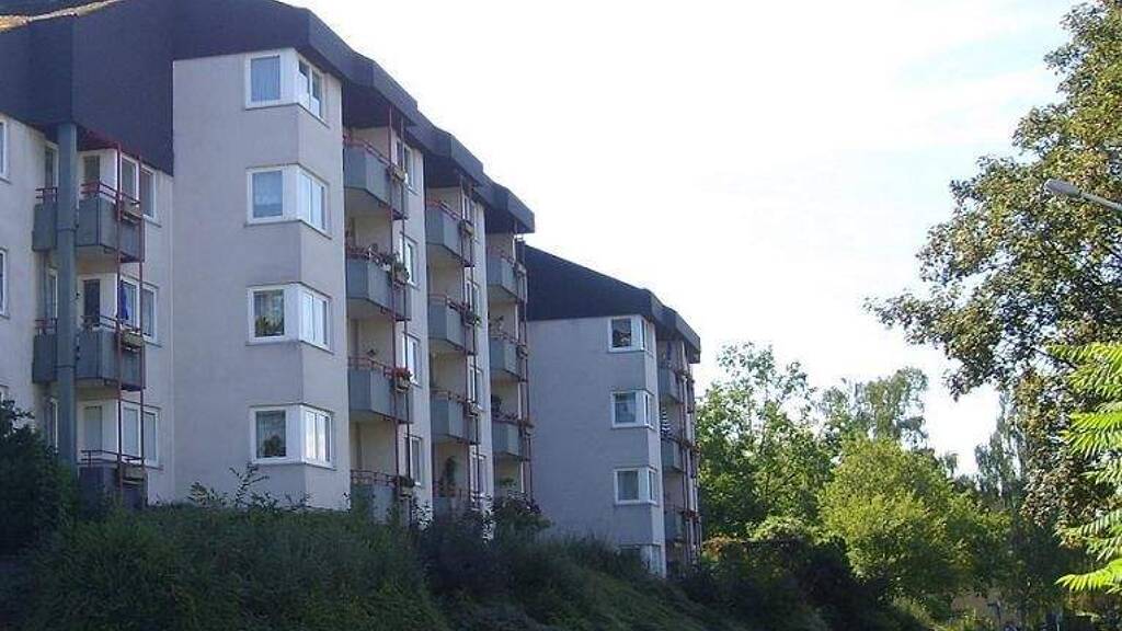 Studio zur Miete 425 € 1 Zimmer 40,2 m² 1. Geschoss frei ab 01.03.2026 Horchheimer Höhe 31a Horchheimer Höhe Koblenz 56076