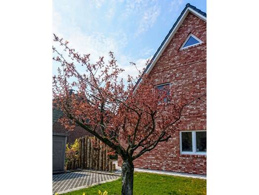 Doppelhaushälfte zum Kauf provisionsfrei 595.000 € 3 Zimmer 81 m² 582 m² Grundstück Fasanenweg 72 Sankt Peter-Ording 25826