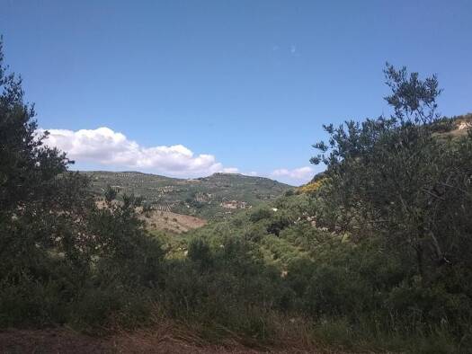 Grundstück zum Kauf 300.000 € 6.125 m² Grundstück Kreta Municipality of Platanias 730 06