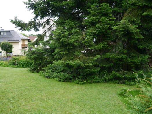 Grundstück zum Kauf provisionsfrei 66.000 € 609 m² Grundstück Gelnhaar Ortenberg 63683