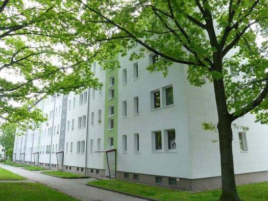 Wohnung zur Miete 288 € 2 Zimmer 48 m² 3. Geschoss frei ab sofort Am Karbel 29 Altendorf Chemnitz 09116