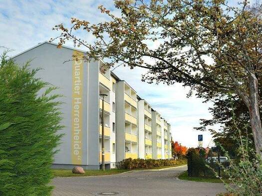 Wohnung zur Miete 363 € 3 Zimmer 60,5 m² 4. Geschoss frei ab sofort Am Spring 17 Calau 03205