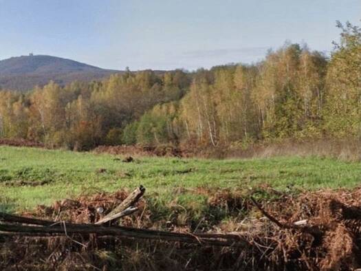 Grundstück zum Kauf 50.000 € 24.741 m² Grundstück Vrginmost 44410