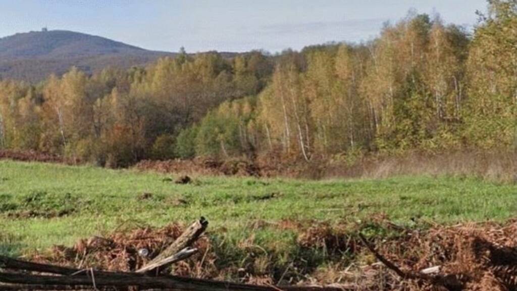 Grundstück zum Kauf 50.000 € 24.741 m² Grundstück Vrginmost 44410