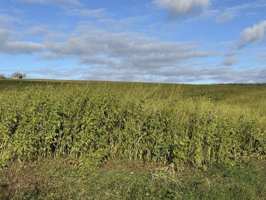 Land-/Forstwirtschaft zum Kauf 283.716 € 15.762 m² Grundstück Weng 84187