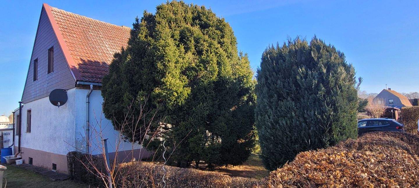 Immobilie in Sonnewalde - Sonnewalde- Großes Einfamilienhaus in guter Wohnlage für die junge Familie! - Bild 3