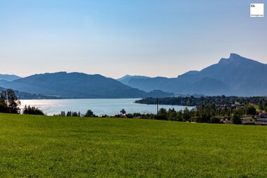 Einfamilienhaus zum Kauf 4.800.000 € 330 m² 997 m² Grundstück Mondsee 5310