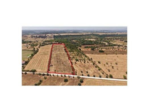Grundstück zum Kauf 75.000 € 24.320 m² Grundstück Vale de Santarém