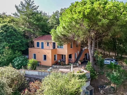 Grundstück zum Kauf 998.000 € 10.000 m² Grundstück Punta à a Bastia 255 San-Giuliano 20230