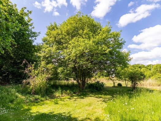 Grundstück zum Kauf 50.000 € 1.558 m² Grundstück Böddenstedt Salzwedel 29410