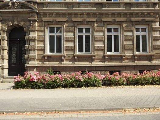 Bürofläche zur Miete 900 € 5 Zimmer 148 m² Bürofläche Neue Straße 4 Aschersleben 06449