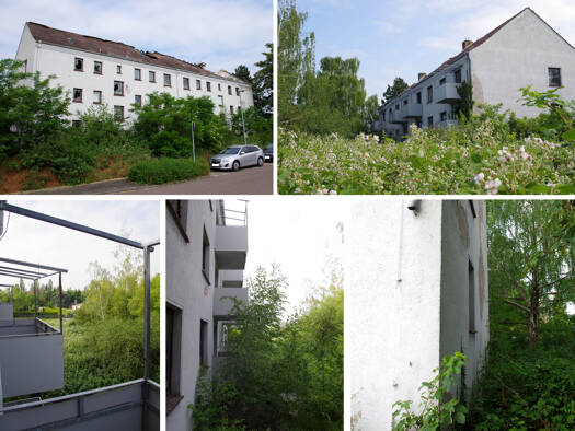 Grundstück zum Kauf 450.000 € 1.543 m² Grundstück Schkeuditz 04435
