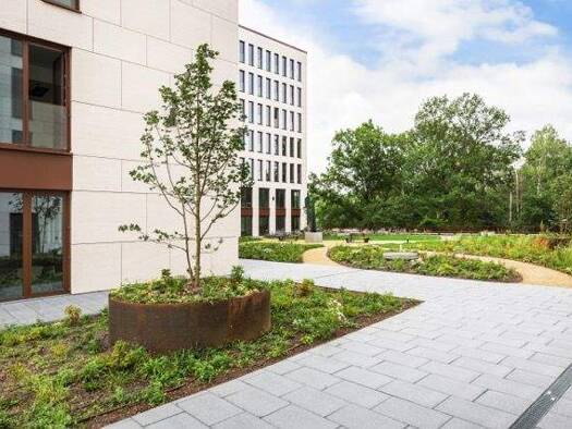 Bürofläche zur Miete provisionsfrei 1.390 € 1 Zimmer 31 m² Bürofläche Kienberg Schönefeld 12529