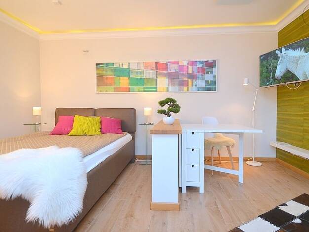 Studio zur Miete auf Zeit 1.015 € 1 Zimmer 37 m² frei ab 01.10.2026 Rosenau Nürnberg 90429