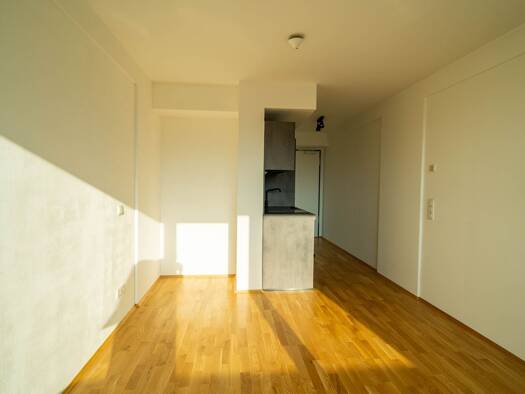 Studio zur Miete 480 € 1 Zimmer 23,9 m² 5. Geschoss frei ab sofort Großprüfening-Dechbetten-Königswiesen Regensburg 93051