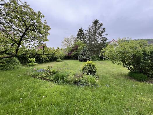 Grundstück zum Kauf 75.000 € 997 m² Grundstück Friedewald Friedewald 36289