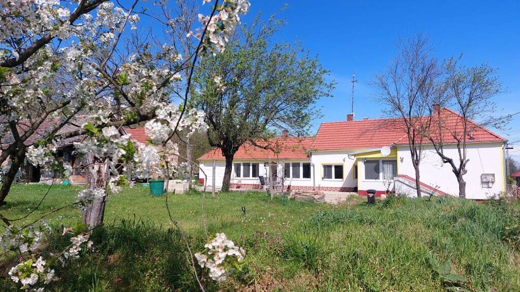 Einfamilienhaus zum Kauf provisionsfrei 185.000 € 3 Zimmer 119 m² 2.770 m² Grundstück Pat 8825