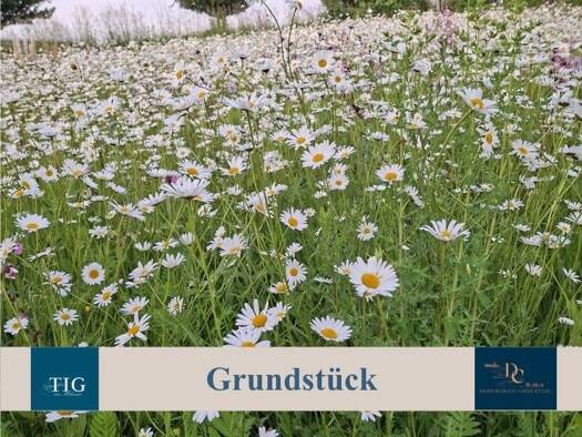 Grundstück zum Kauf 180.000 € 890 m² Grundstück Eichholz Lindlar 51789